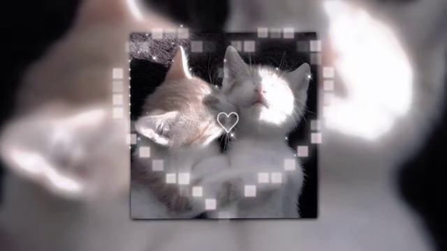 JojoHF-первый раз/tik tok remix+speed up (мама я влюбился в нее) смотреть онлайн