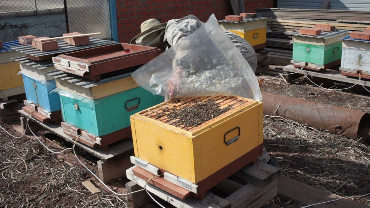 Погода налаживается, контроль состояния. смотреть онлайн