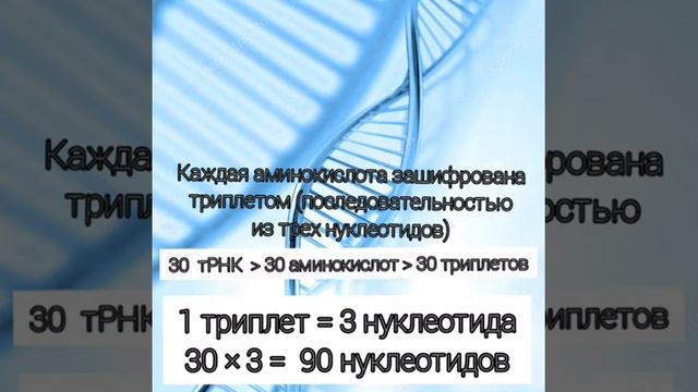 Задачи по молекулярной биологии в ЕГЭ. Определение процентного содержания нуклеотидов в молекуле ДН смотреть онлайн