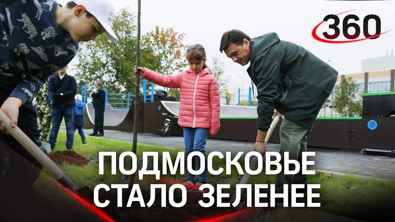 Новые скейт-площадка и зелёная зона в Краснознаменске