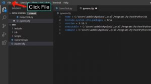 How to Fix Could not install packages due to an OSError in Python