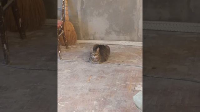 Ремонт без проблем! смотреть онлайн