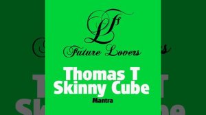 Thomas T & Skinny Cube - Mantra (Dave Martins Remix)