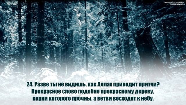 Омар Хишам [Omar Hisham]. Сура Ибрахим . смотреть онлайн