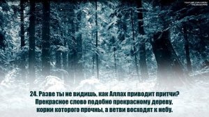 Омар Хишам [Omar Hisham]. Сура  Ибрахим .