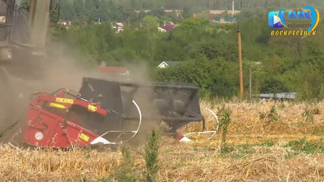 Полным ходом идут работы по уборке урожая на полях городского округа Воскресенск
