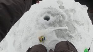 СЛОМАЛ УДОЧКУ? Ловля крупного судака на блесну и вибы! Зимняя рыбалка 2021!