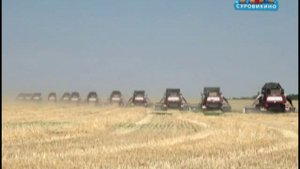 В КФХ Суровикинского района завершилась уборка зерновых