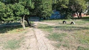 Дружковка. Новости Краматорска. Донецкая область. #дружковка #новостидонбасса2021 #константиновка