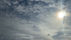 Алексей Шанин "Я чувствую рыбу"