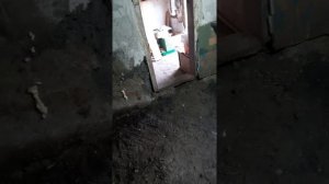 Омшанник, зимовник для пчел из ветхого сарая