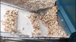 Автоматическая машина для отделения зубчиков чеснока и чистки чеснока