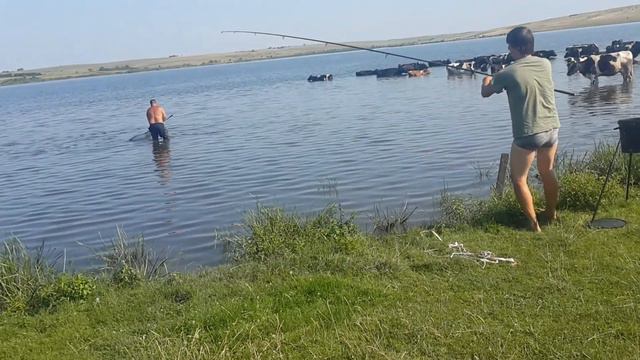 Обрив жилки