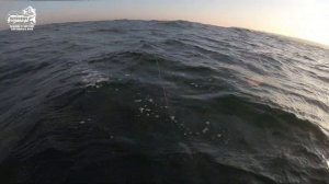 VLOG: Море. С каждого заброса поклевка. Треска. Блесна. Джиг.  Ноябрь 2019.