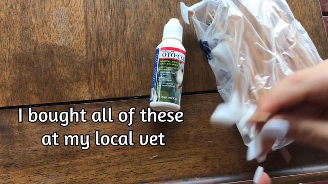 3 Easy Steps to Clean Poodles Ears смотреть онлайн