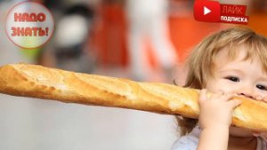 Как хранить хлеб, чтобы он не черствел и не плесневел?