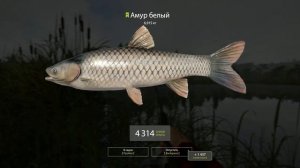 Русская Рыбалка 4 Старый острог Амур рр4 Алексей Майоров