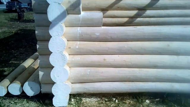 Сруб осина смотреть онлайн