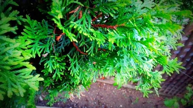 Sony DSC W830 TEST смотреть онлайн