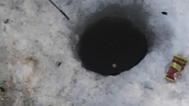 Семеныч ловит красноперку на Лысом лимане Маныч