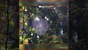 "Осень", Е. Трутнева