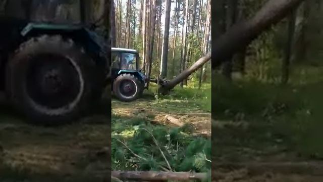 трелёвка леса ,,муравей в работе,, смотреть онлайн