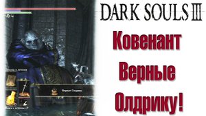 Dark Souls 3 - Где найти Ковенант Верные Олдрику(Aldrich Faithful).