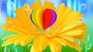 Красивые фоны для видеомонтажа. Бесплатные футажи. Скачать бесплатно футаж. Футажи с цветами.