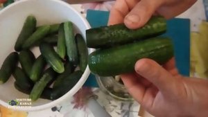САМЫЙ ВКУСНЫЙ РЕЦЕПТ ХРУСТЯЩИХ  МАЛОСОЛЬНЫХ ОГУРЦОВ В 3 Л БАНКЕ. Как сделать малосольные огурцы.