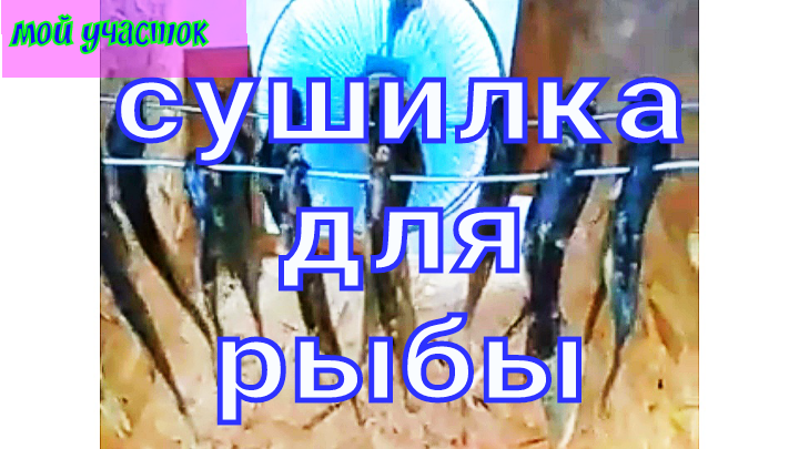 Сушилка для рыбы своими руками!
