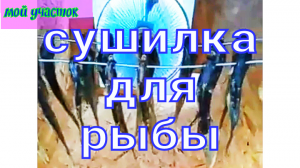 Сушилка для рыбы своими руками!