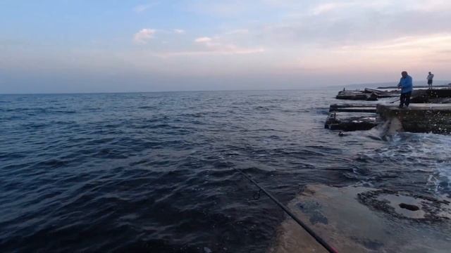 Рыбалка на ставриду в конце октября. Ставрида на самодур. Ставрида как ловить. Снасть на ставриду.
