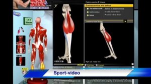 Биомеханика Мышц Голении_Анатомия и 3D анализ Упражнений.