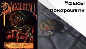 Как мы в это играли?!#2 The Elder Scrolls: Daggerfall