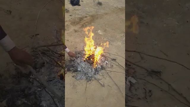 Village cricket time pass смотреть онлайн