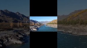 Черга. Горный Алтай. Животные. Осень 2023.