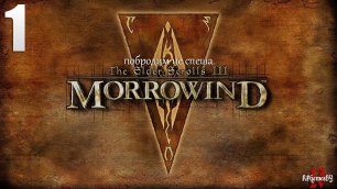 Прохождение Легендарной игры. The Elder Scrolls III: Morrowind Fullrest #1 Создание персонажа.