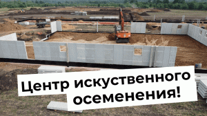 Строительство центра искусственного осеменения свиней.