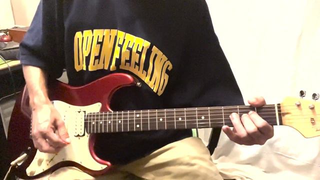 Bacchus Stratocaster HSH Guitar смотреть онлайн