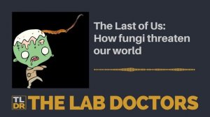 The Last of Us: How fungi threaten our world