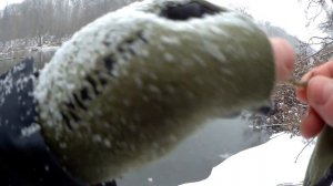 Как ловить окуня на спиннинг зимой. Рыбалка для начинающих