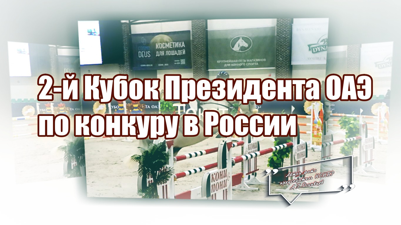 А.Г.Огнивцев: Конный спорт. 2-й Кубок Президента ОАЭ по конкуру в России. Ноябрь 2023. Maxima Park.