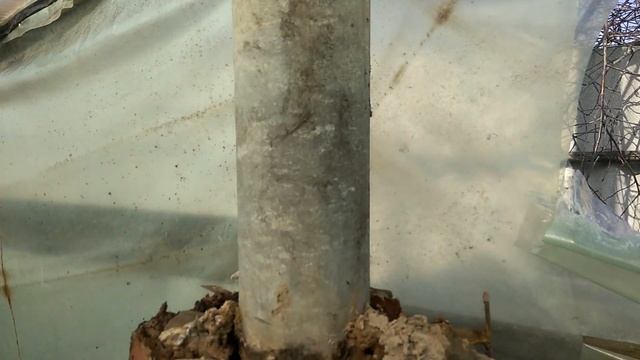 Печка в теплице дымит при розжиге.выход есть смотреть онлайн