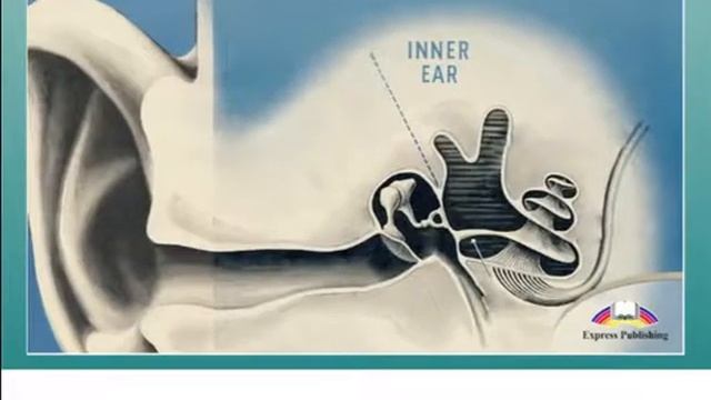 Excel for Kazakhstan Sound hearing 8grade смотреть онлайн