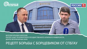 Рецепт борьбы с борщевиком из СПбГАУ