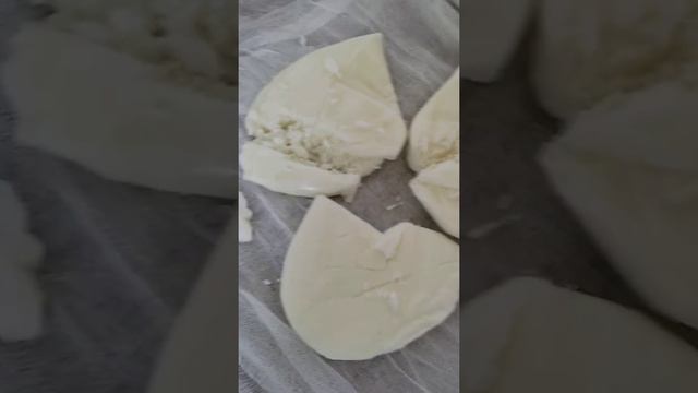 Творожный сыр за копейки смотреть онлайн