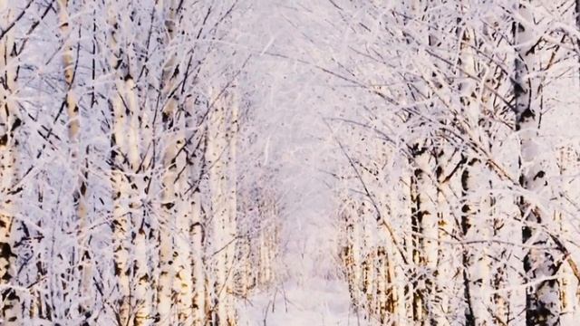 Снежный лес красотой белоснежной...???Музыка для души
