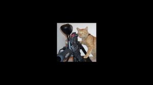 Коты бандиты { их ищут копы } Часть 4
