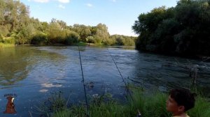 Подсаживаем Детей на Рыбалку Летняя рыбалка с берега на донки Ловля Голавля