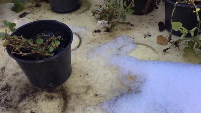 Удивительно, но факт! смотреть онлайн